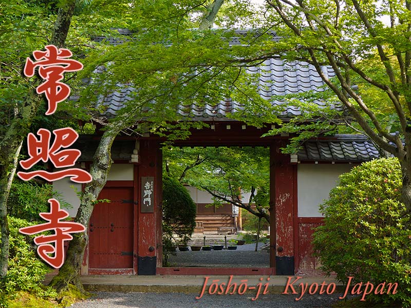 直営店に限定 公式 常照寺トップページ 版画